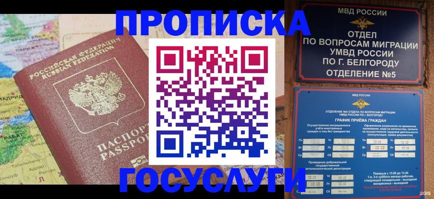 прописка регистрация в Сафоново